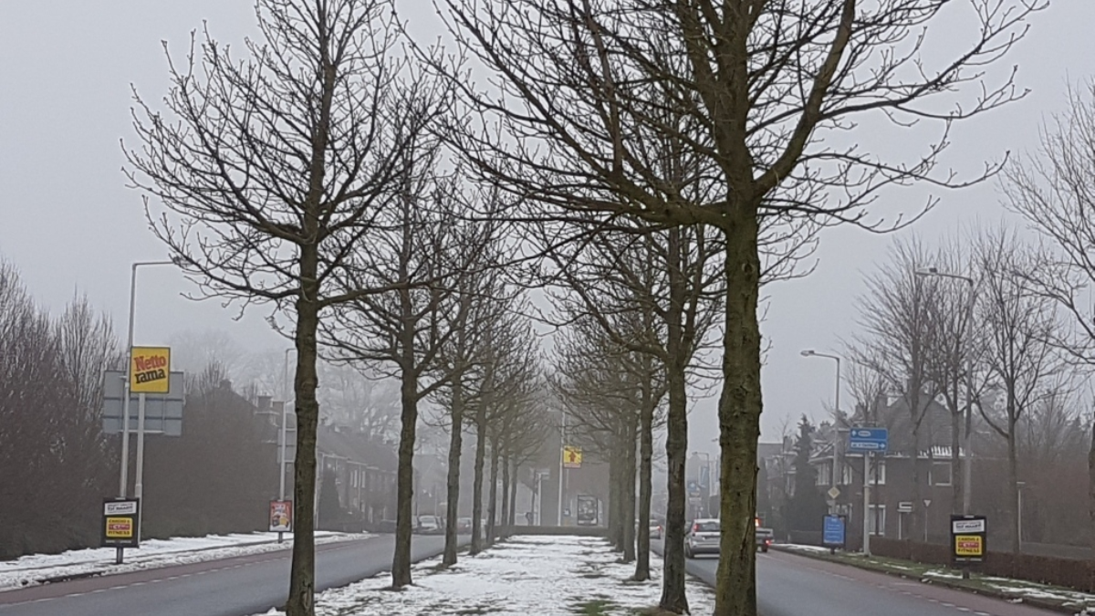 243678 image 6852849