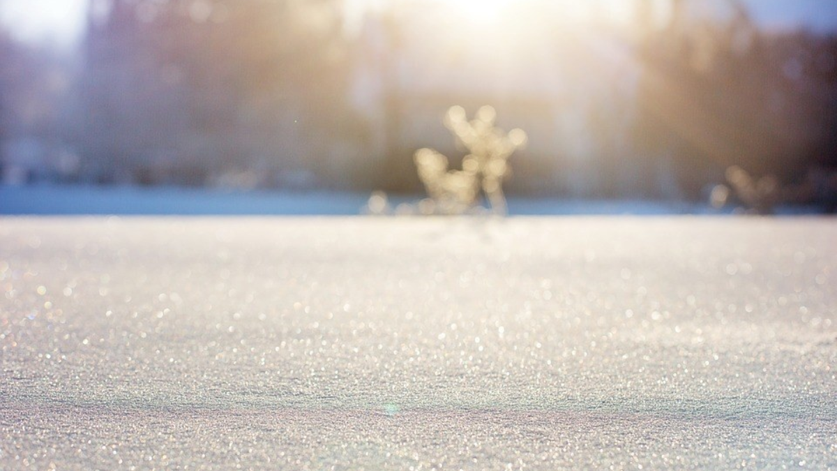 243243 240996 Winter 1