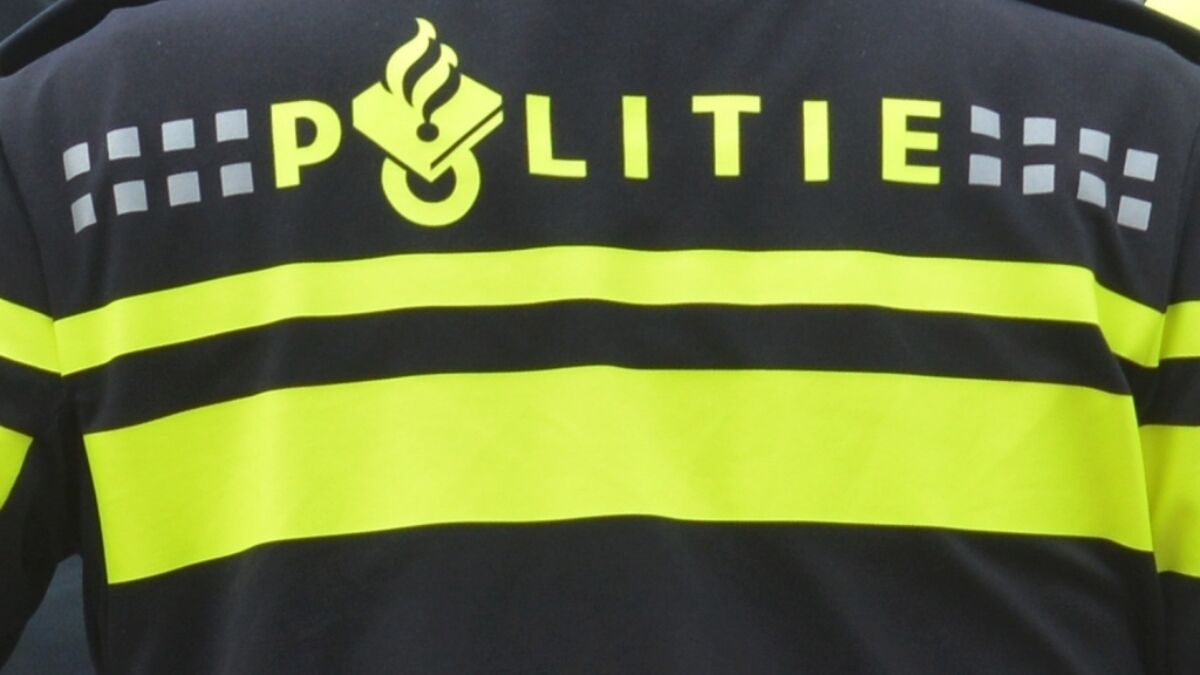 241632 image 6226443