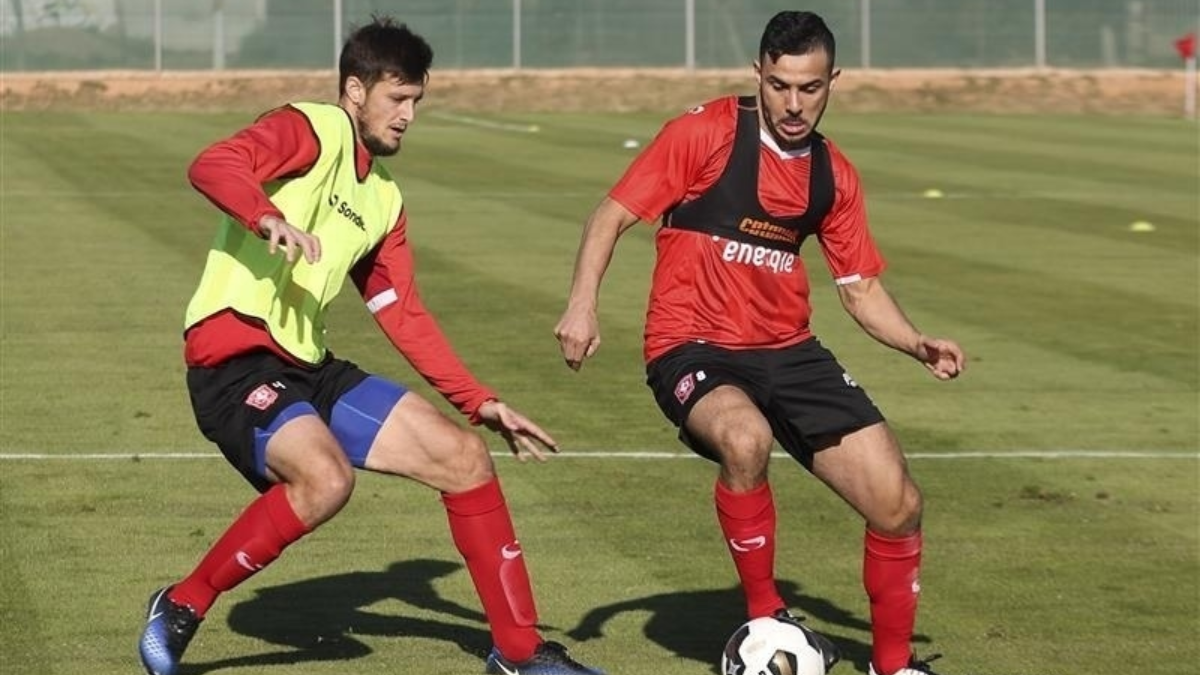 241501 image 6817337