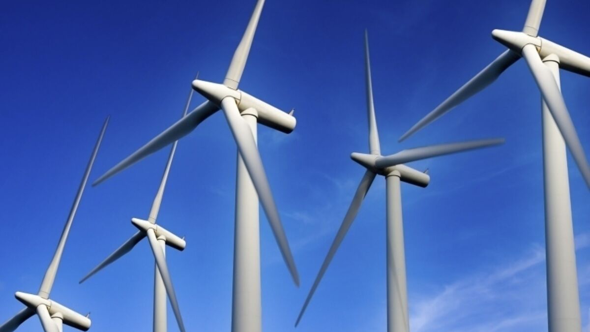 239512 image 4294720