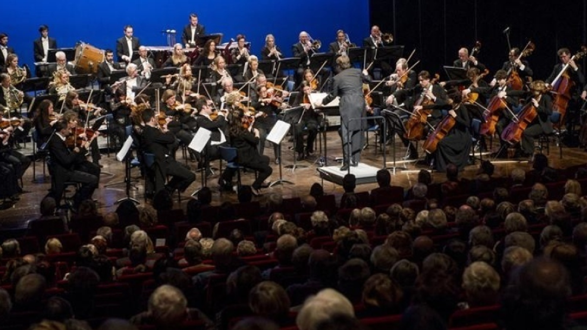 237594 orkest 11