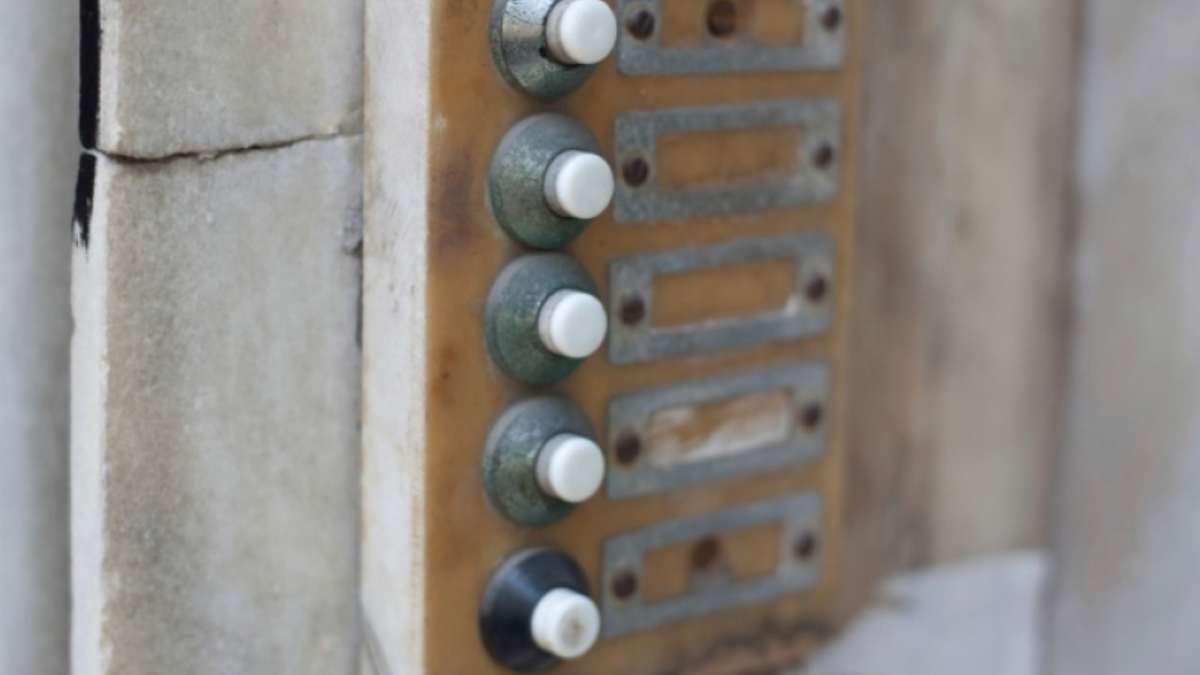 237396 image 4446056