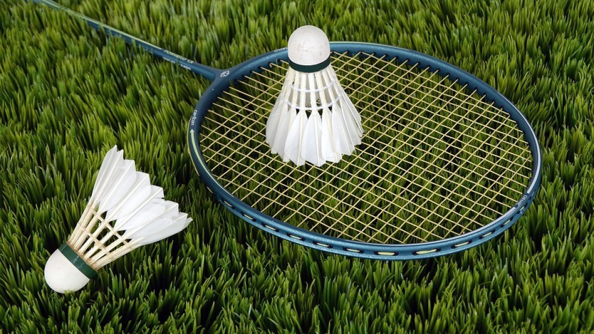 231708 223461 badminton