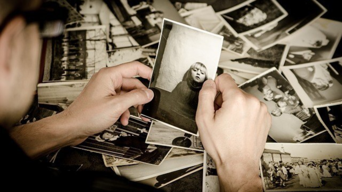 231261 photo 256887 640