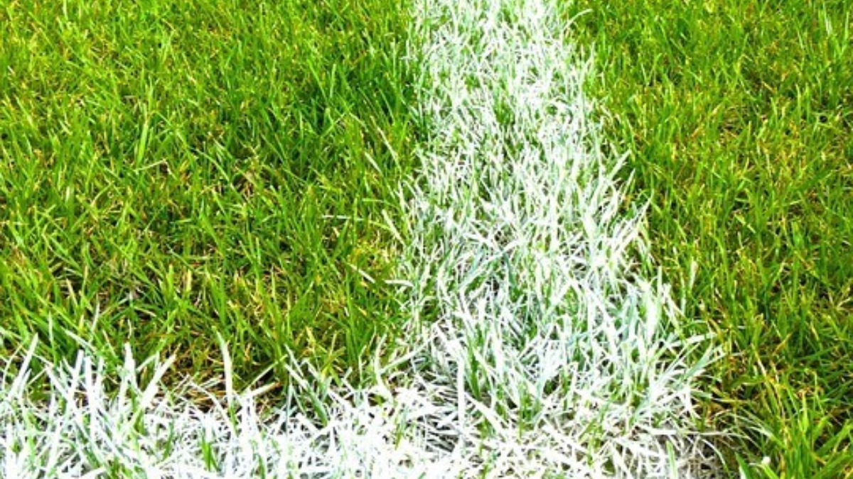 228917 football field 488383 960 720