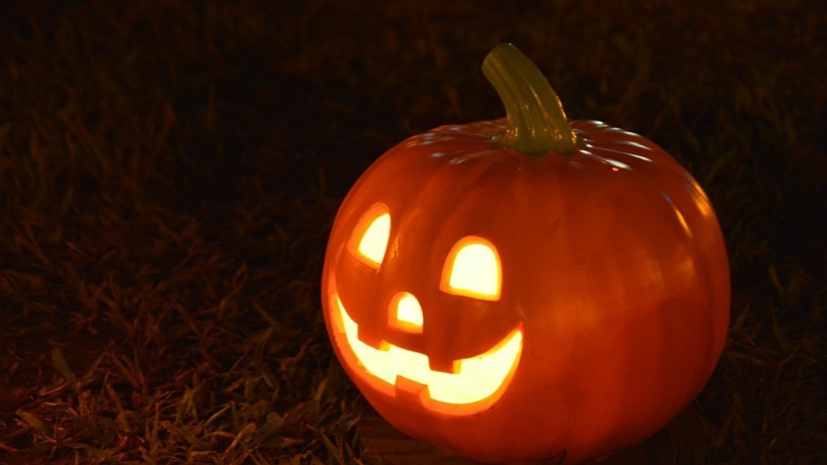 227529 Halloween 1