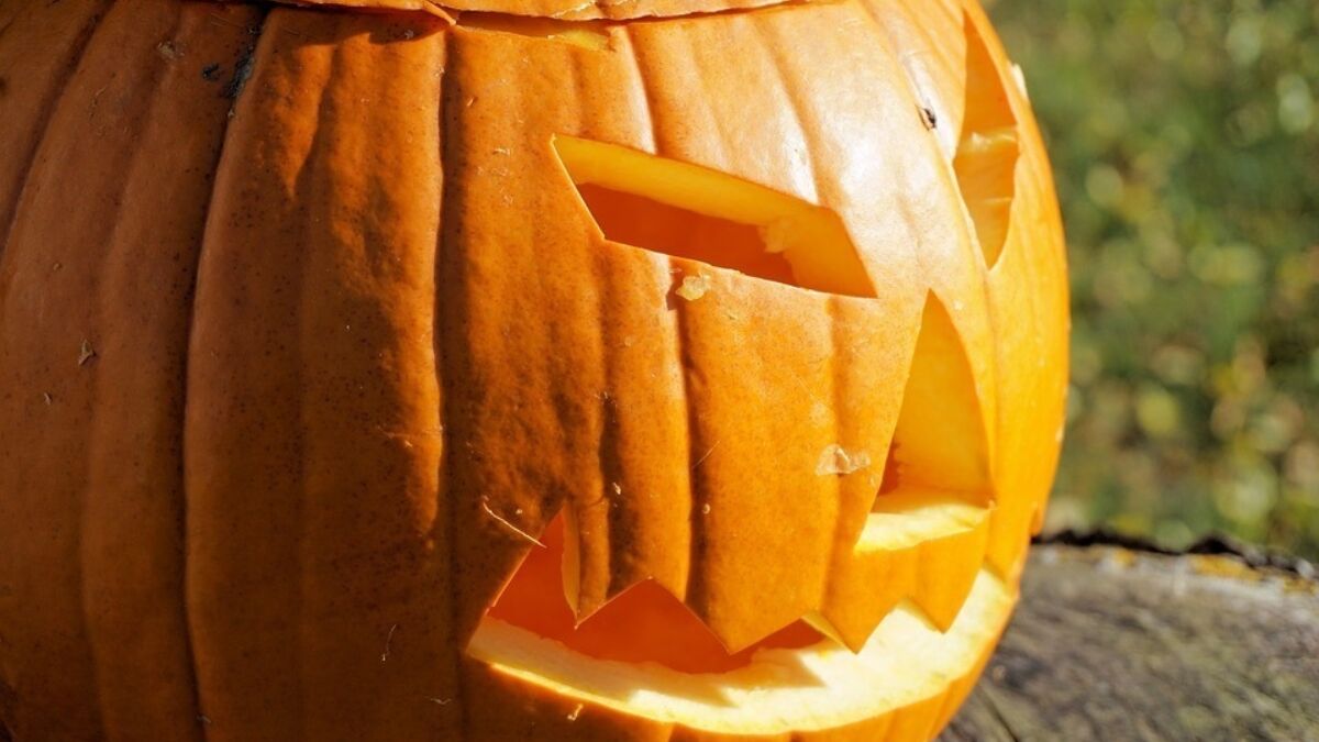 227539 halloween 2