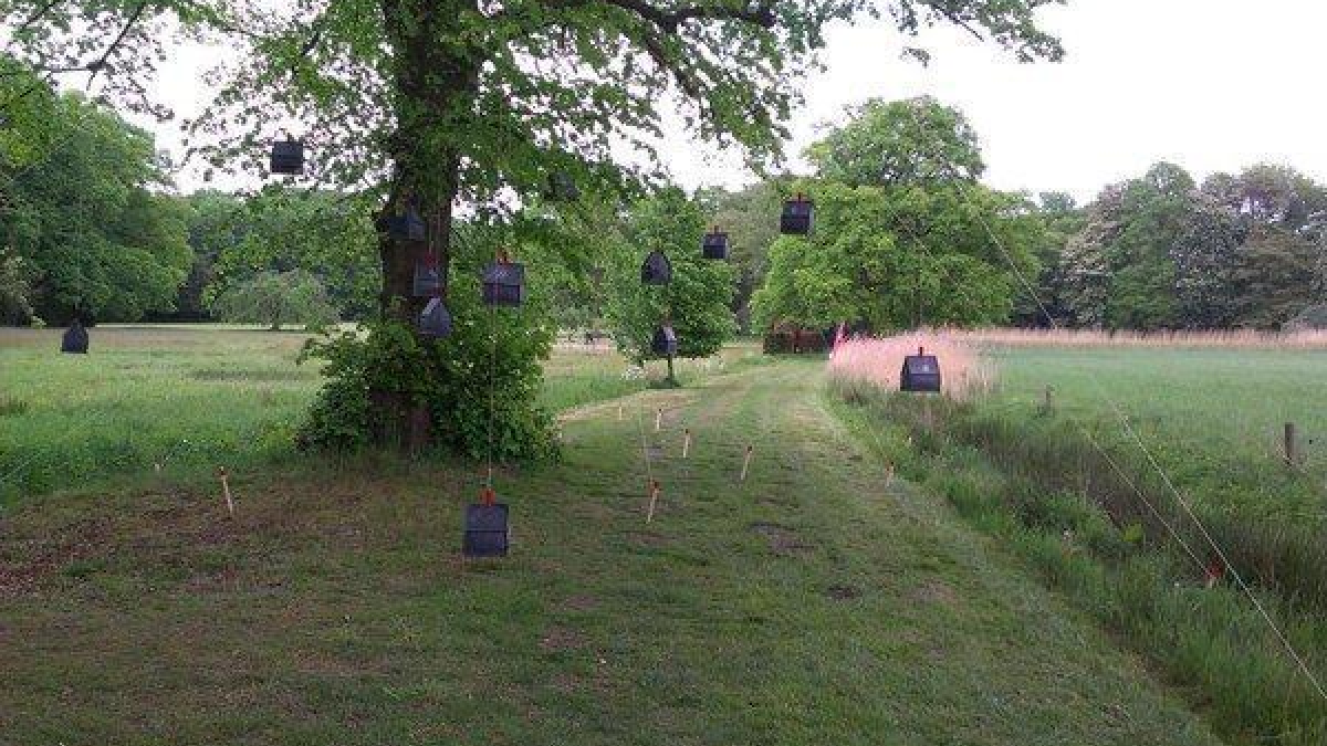 225846 landschap