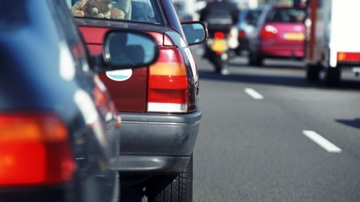 223164 image 5105187