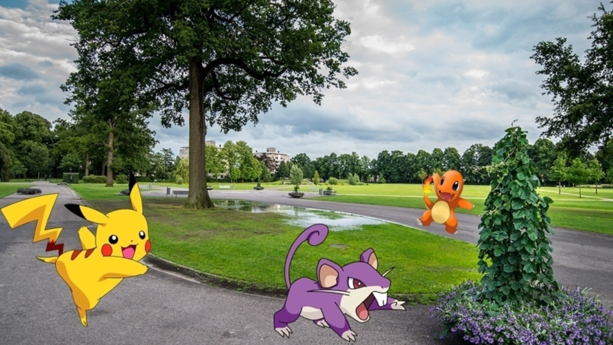 221905 pokemon