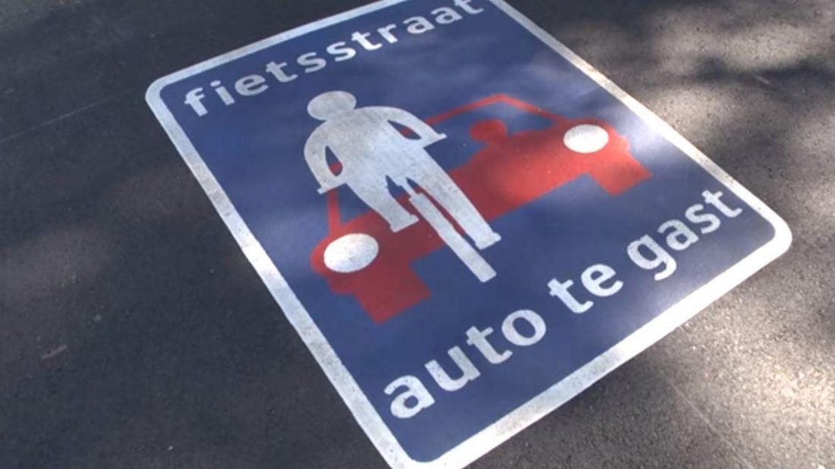 217919 Autos te gast