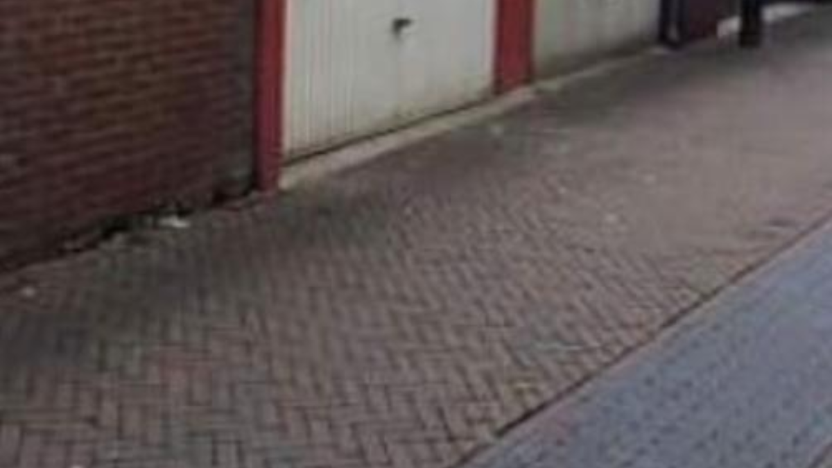 213257 image 41