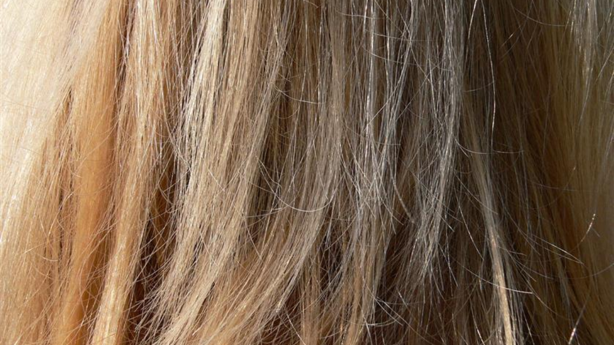212919 hair 958257 1920