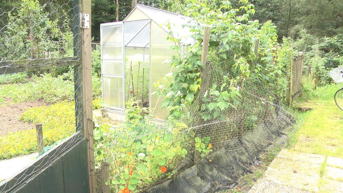 212872 Volsktuinencomplex