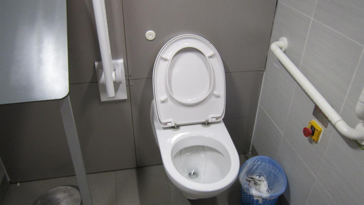 204105 toilet wc