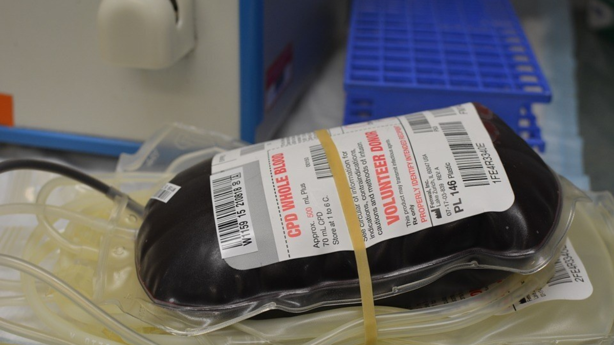 203666 bloed donor