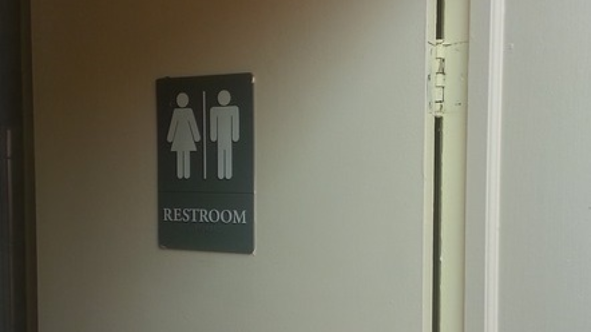 202975 wc toilet