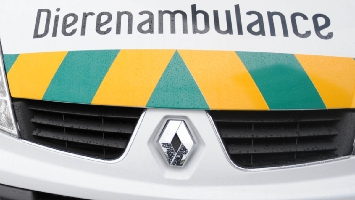 187911 dierenambulance 1