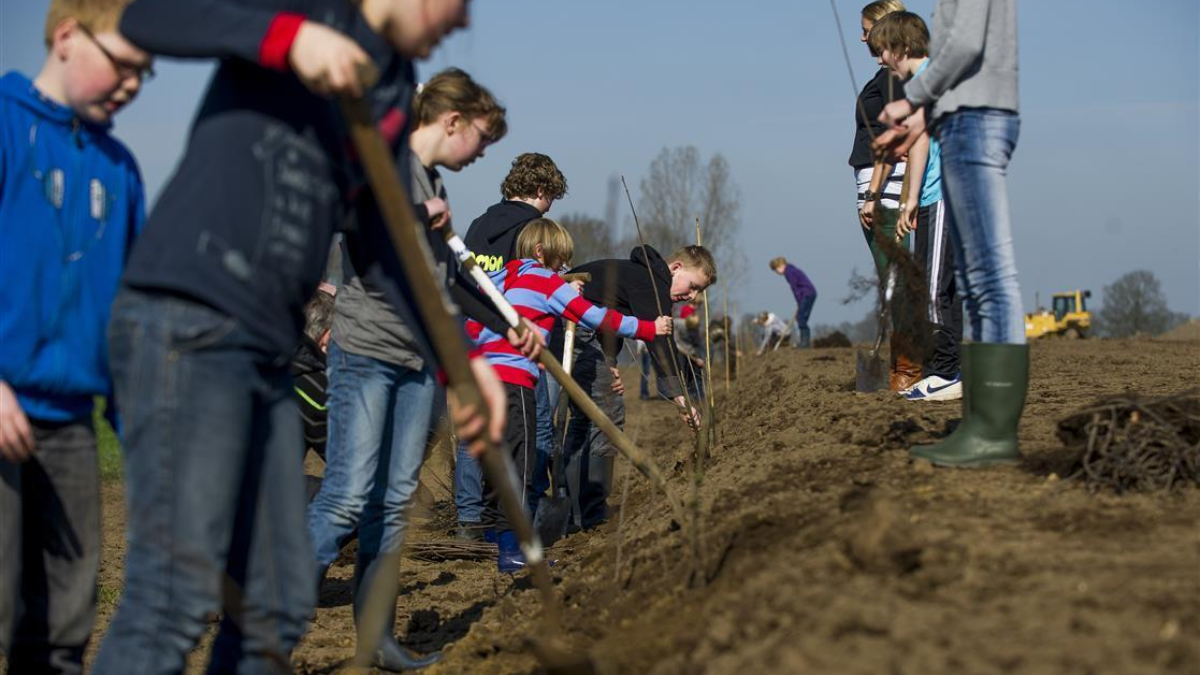 187607 boomplantdag