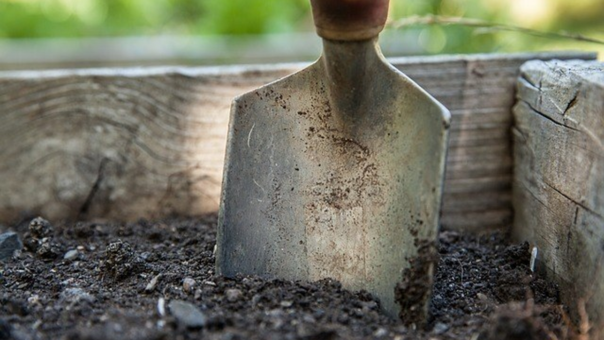 175563 schop in de grond vrijwilligerswerk 3