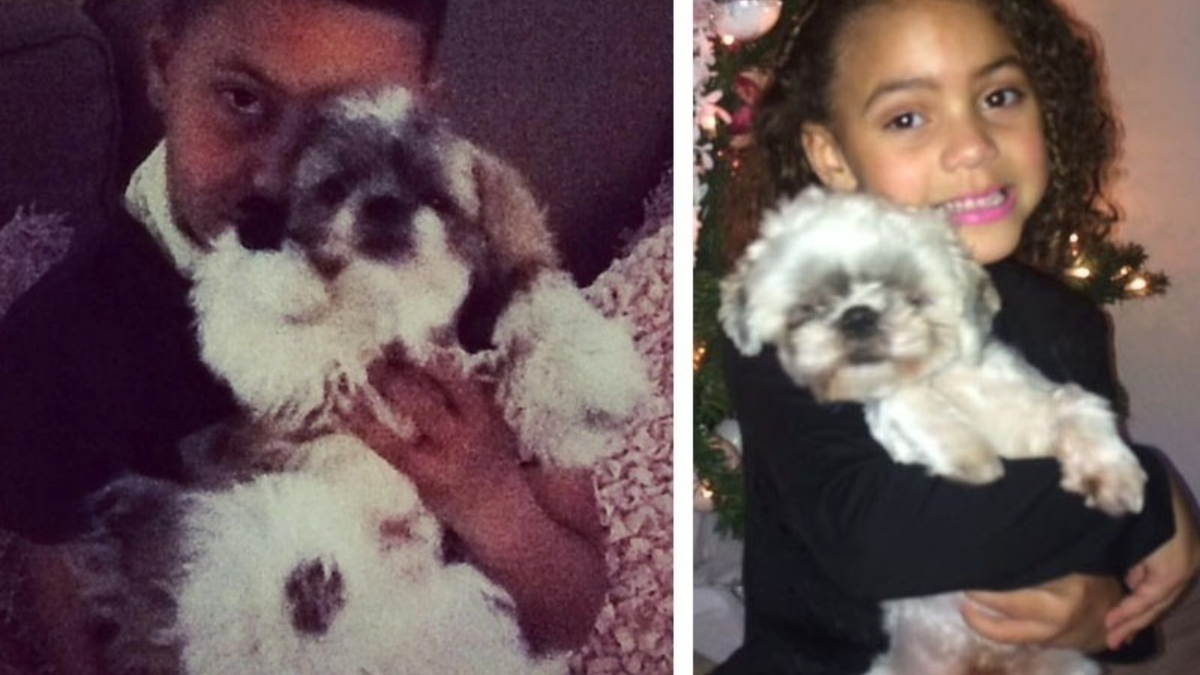 175375 kinderen met hond