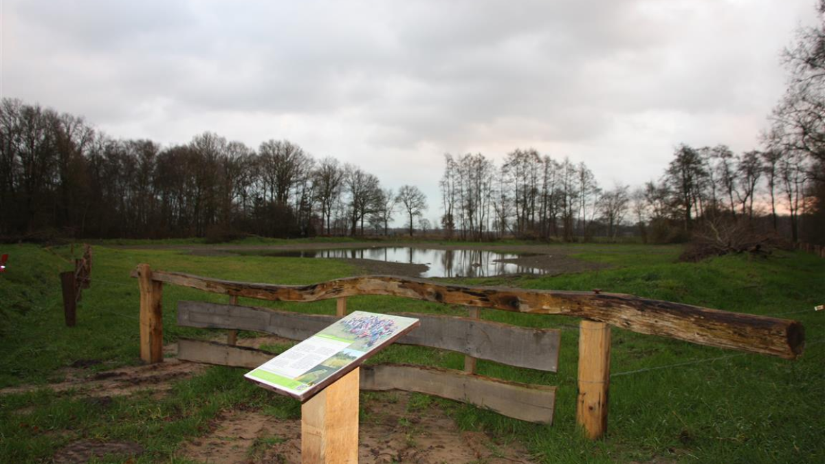 168551 boomkikkerreservaat Enschede 1