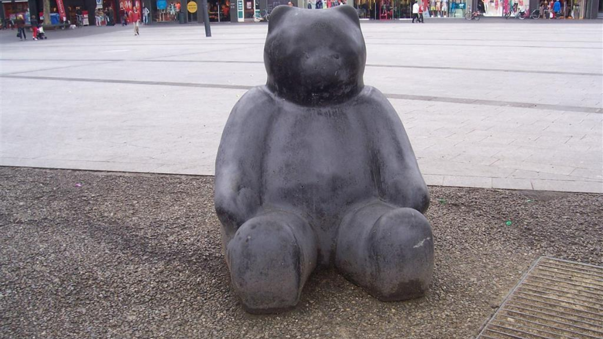 100263 Poes op beer lijkend Van Heekplein Enschede