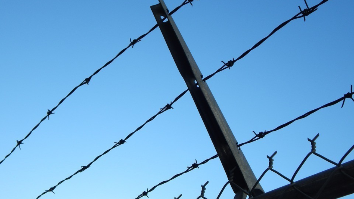 97592 barbed wire 482608 960 720