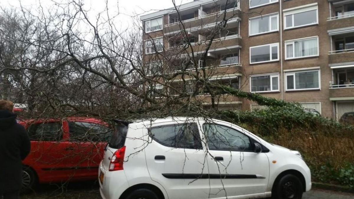 95799 vandeinselaan 1