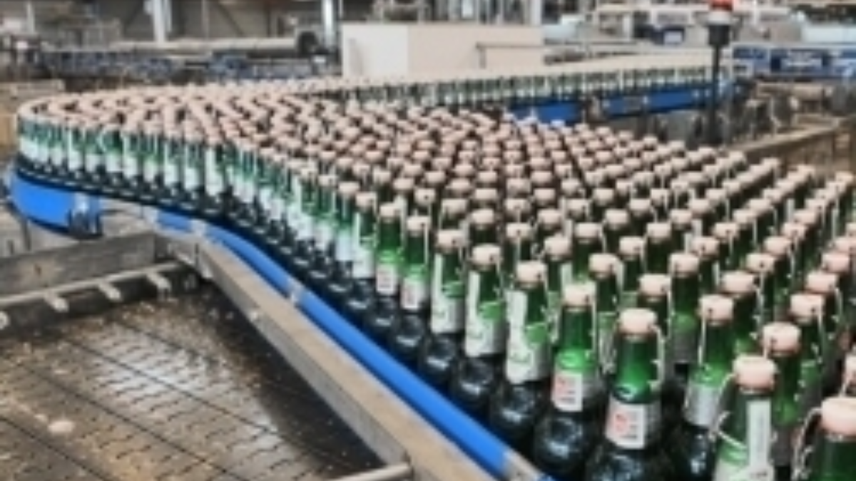 95161 77974 75021 73010 grolsch 2