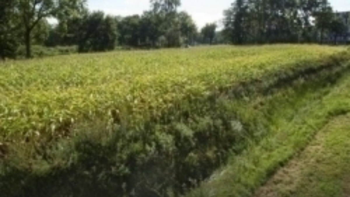 94492 94466 93946 AZC terrein