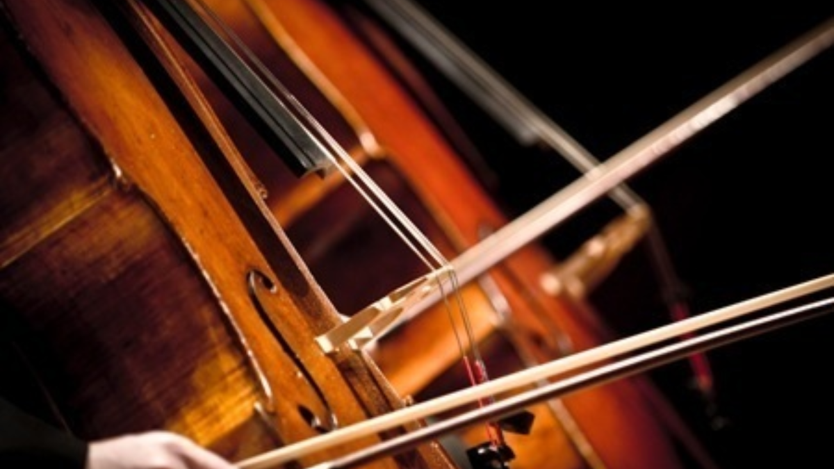 92204 orkest