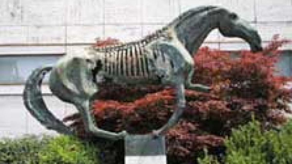 90068 bronzen paard