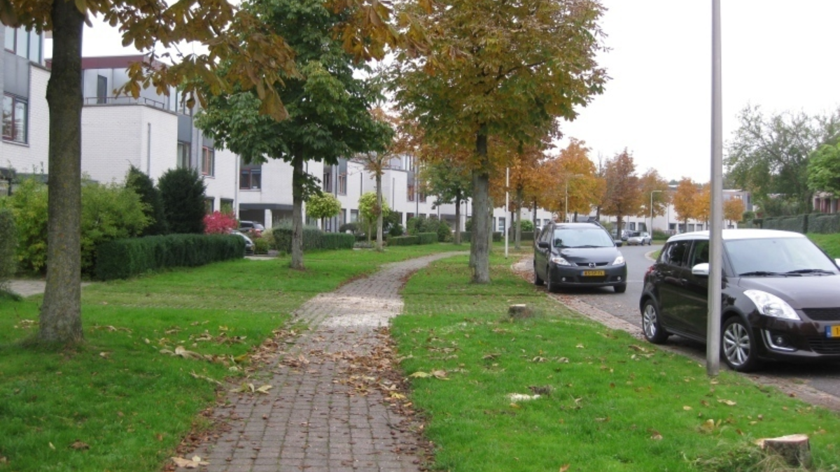 79883 kastanjebomen
