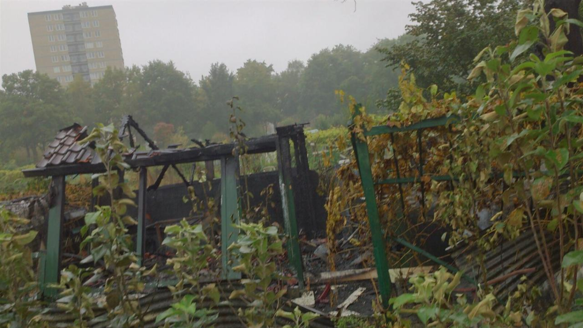 78479 foto volkstuintjes