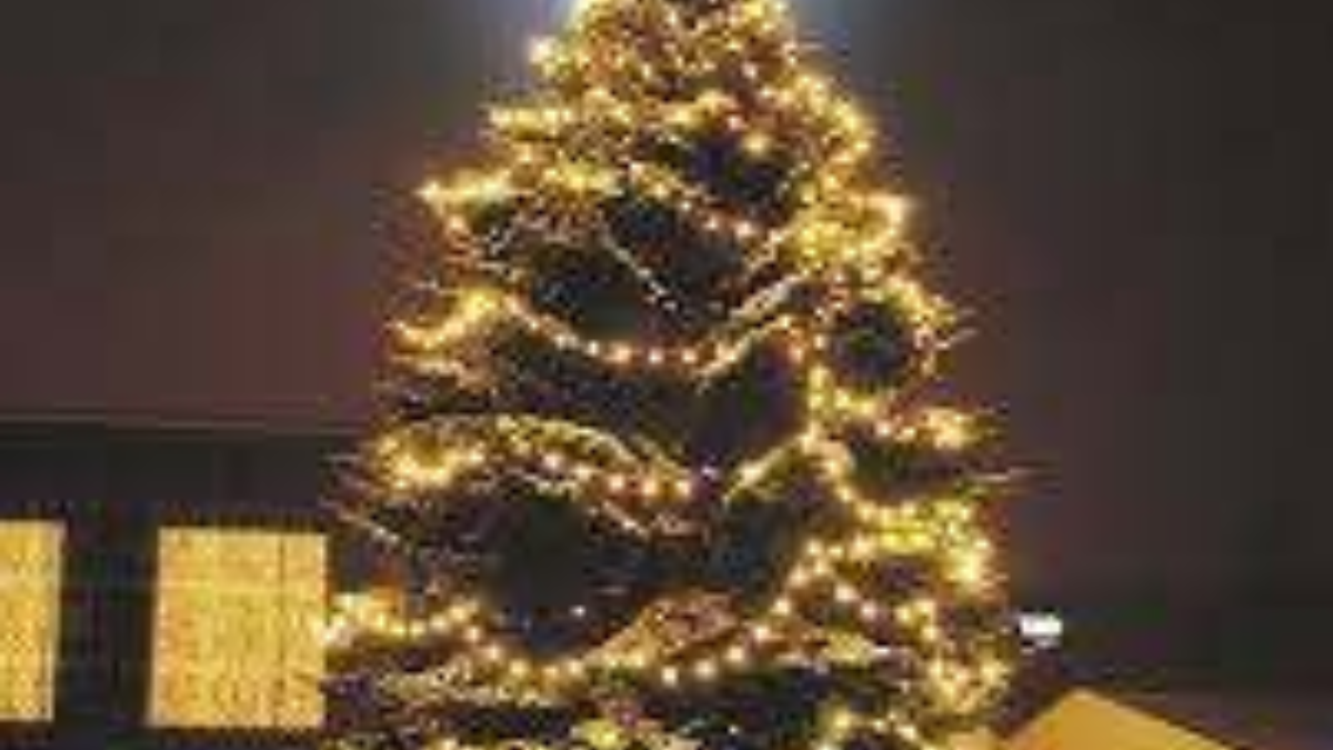 72154 kerstboom