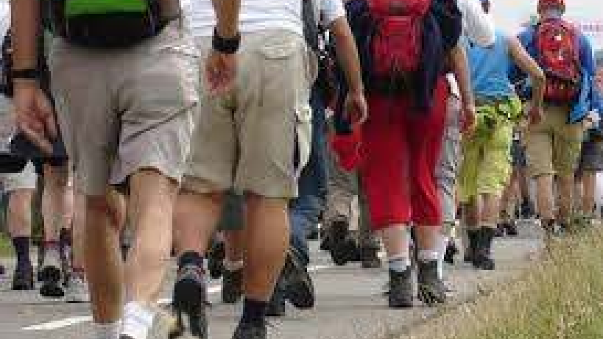 65071 vierdaagse