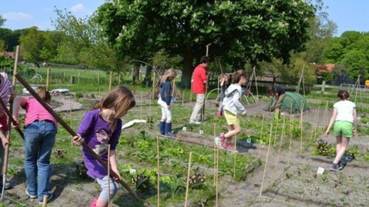 59853 Moestuin