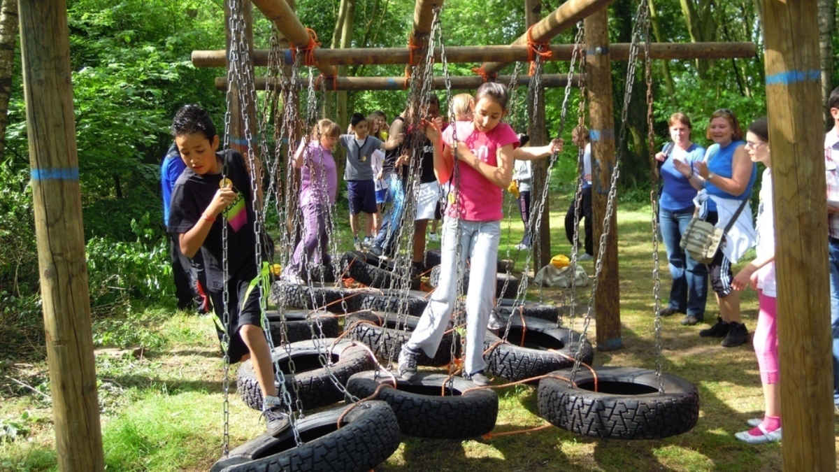 58662 junglebaan