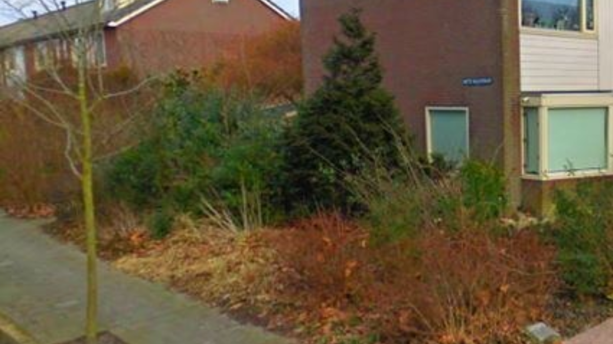 57226 openbaar groen