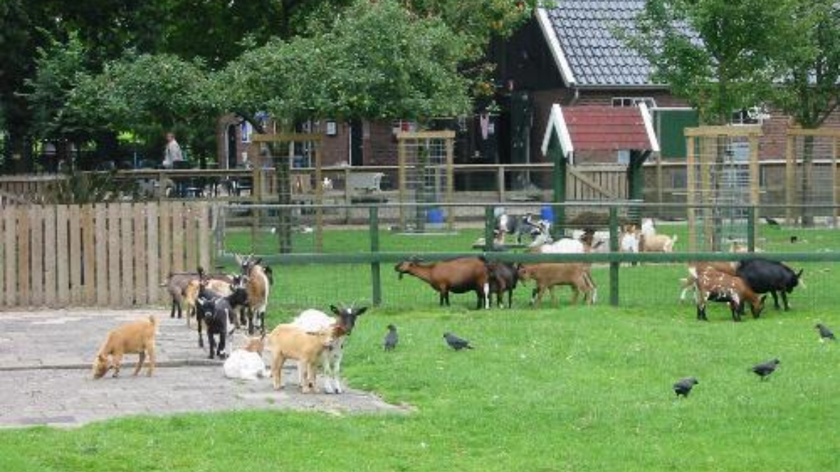 55252 26745 Kinderboerderij Noord
