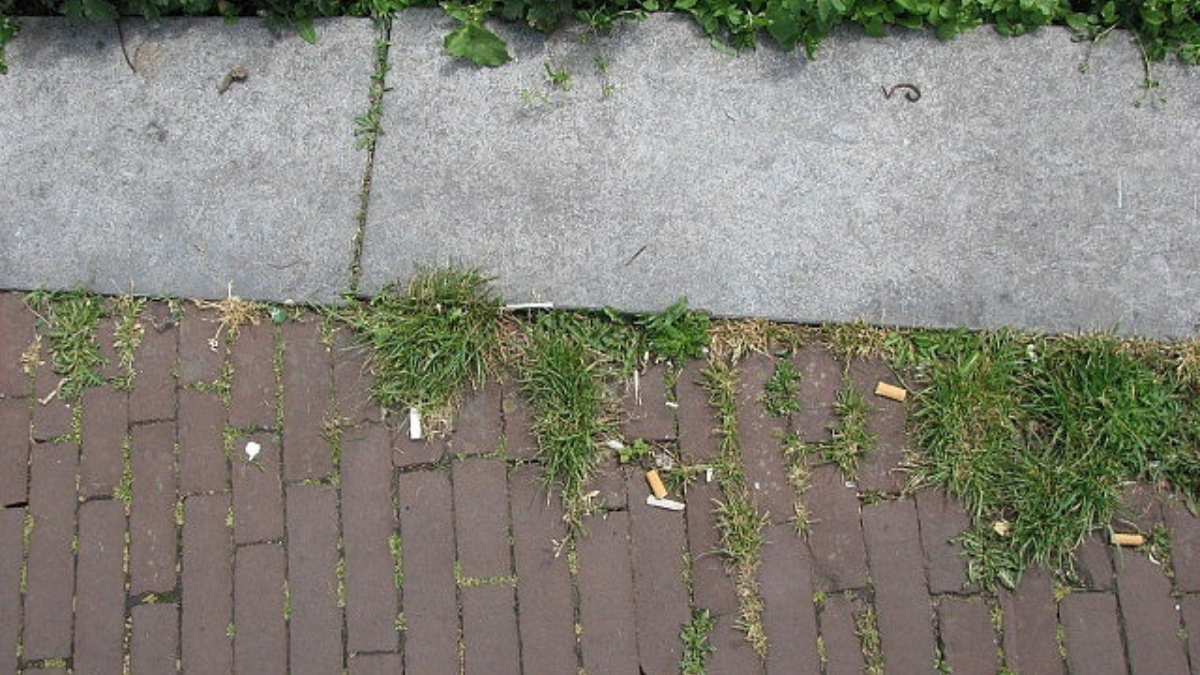 54888 stoep onkruid stipo team