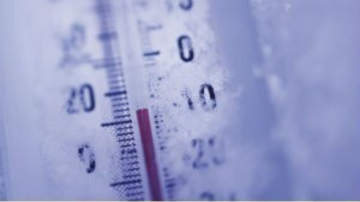 54176 thermometer vorst
