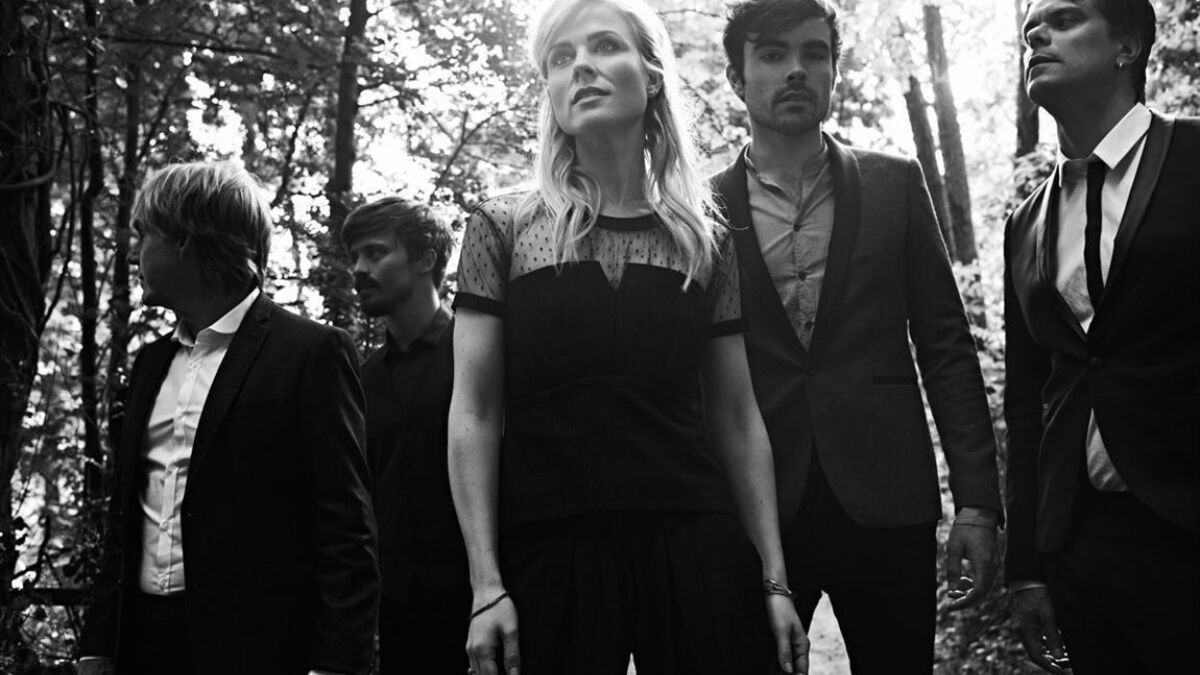 52648 Common Linnets