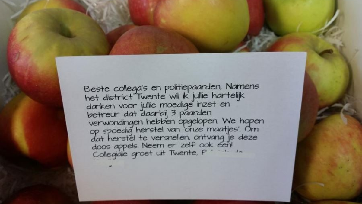 52215 appels paarden
