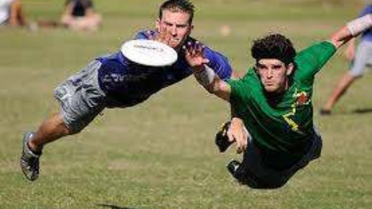 39394 frisbee