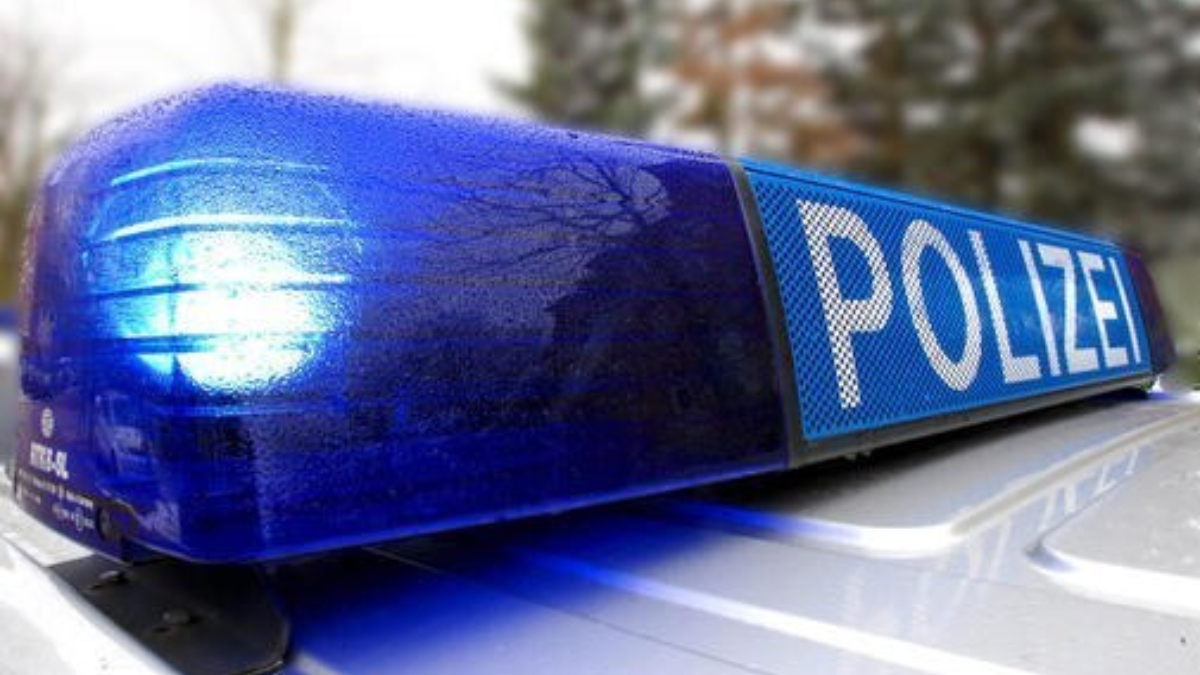 33579 Polizei entdeckt wertvolles Diebesgut Artikel Quer