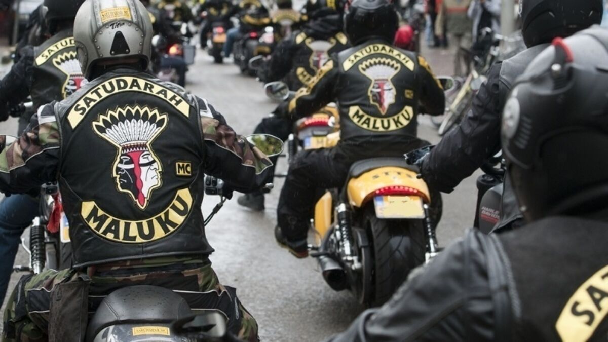 33517 satudarah