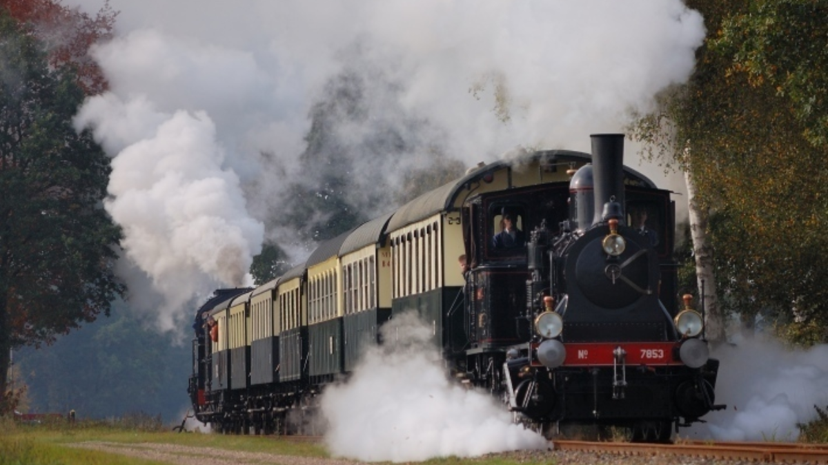 31502 Mbs1